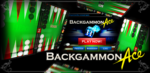 AARP Backgammon Review and Test - Backgammon Rules